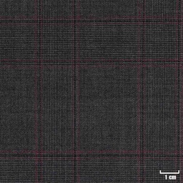 [226301] GREY, RED CHECKS