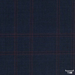 [226302] DARK BLUE, RED CHECKS