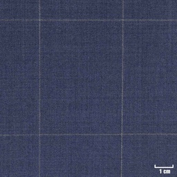 [226318] BLUE, OFF WHITE CHECKS