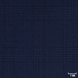 [226309] BLUE, CHECKS