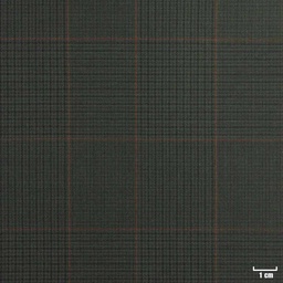 [225502] GREEN, RED CHECKS