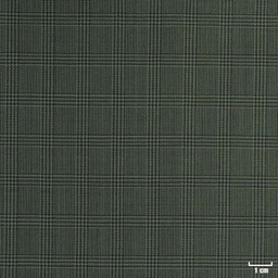 [225507] GREEN, SMALL CHECKS