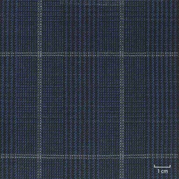 [352507] BLUE, CHECKS