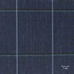 [352515] BLUE, CHECKS