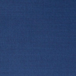 [823536] BLUE, PLAIN (2 PLY)