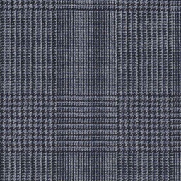 [317101] BLUE, CHECKS