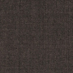 [317109] CHARCOAL, CHECKS (DR# 65109)