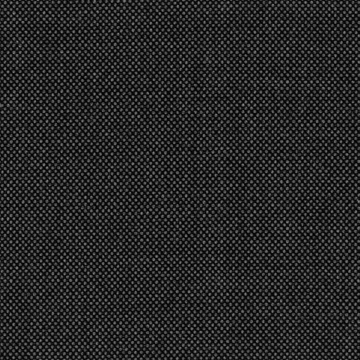 [317130] GREY, BIRDEYE (DR# 65130)