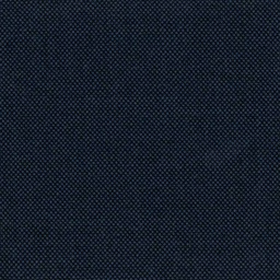 [317131] BLUE, BIRDEYE (DR# 65131)