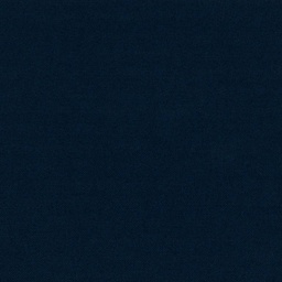 [317144] BLUE, PLAIN (DR# 65144)