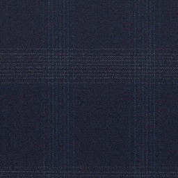 [317205] BLUE, CHECKS (DR# 68005)