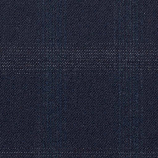 [317205] BLUE, CHECKS (DR# 68005)