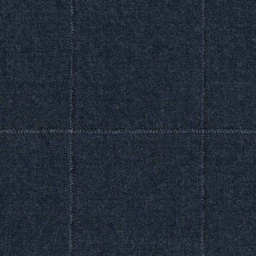 [317212] BLUE, CHECKS (DR# 68012)