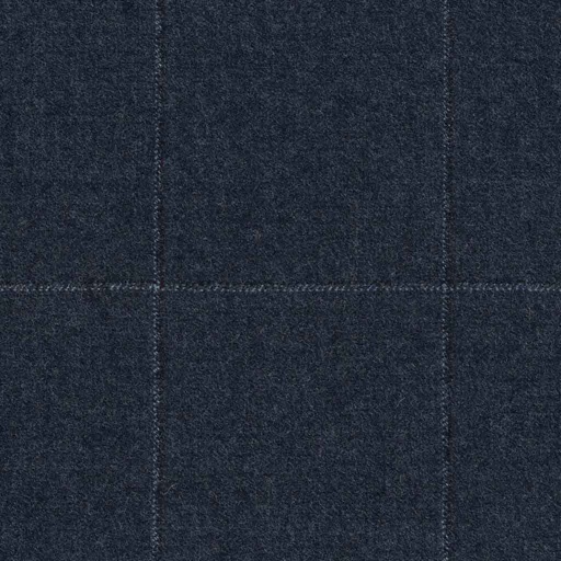 [317212] BLUE, CHECKS (DR# 68012)