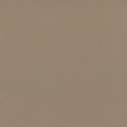 [317410] LIGHT KHAKI, PLAIN (DR# 95010)
