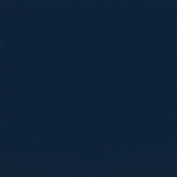[317412] BLUE, PLAIN (DR# 95012)