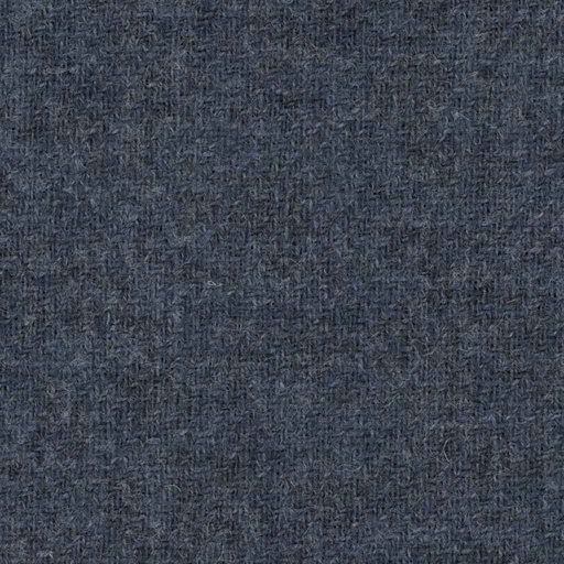 [317425] BLUE, PLAIN (DR# 95025)