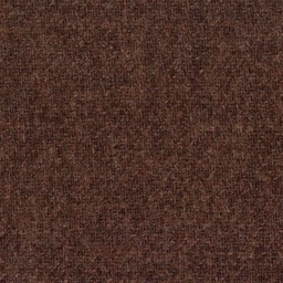 [317429] BROWN, PLAIN (DR# 95029)