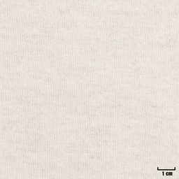 [404901] TAN, PLAIN