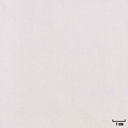 [405001] OFF WHITE, PLAIN
