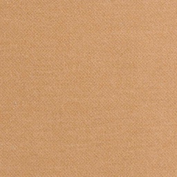 [405118] TAN, PLAIN