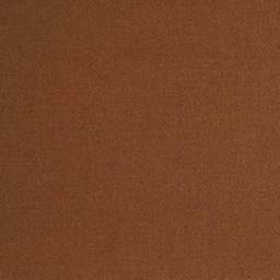 [405119] CAMEL, PLAIN
