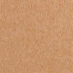 [405125] TAN, PLAIN