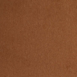[405126] CAMEL, PLAIN