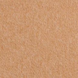 [405135] TAN, PLAIN