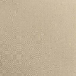 [226702] TAN, PLAIN