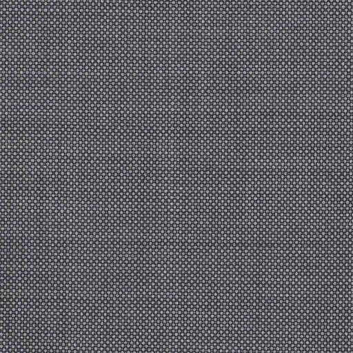 [317631] GREY, BIRDEYE (DR# 12531)