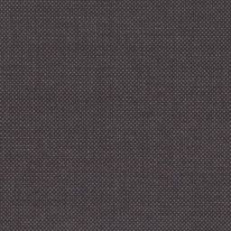 [317632] DARK GREY, BIRDEYE (DR# 12532)