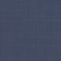 [317633] BLUE, BIRDEYE (DR# 12533)