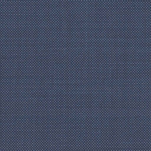 [317633] BLUE, BIRDEYE (DR# 12533)