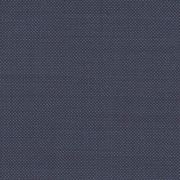 [317634] BLUE, BIRDEYE (DR# 12534)