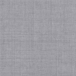 [317642] GREY, PLAIN (DR# 12542)
