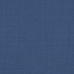 [317646] BLUE, PLAIN (DR# 12546)