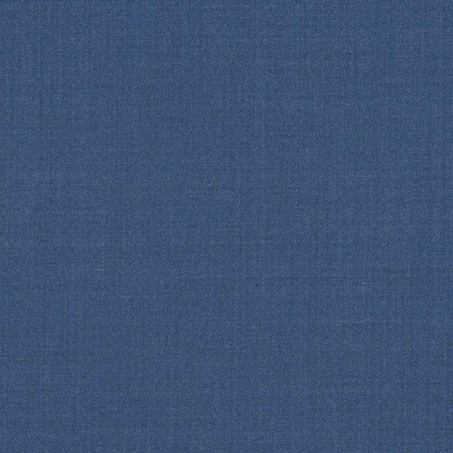 [317646] BLUE, PLAIN (DR# 12546)