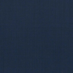 [317647] BLUE, PLAIN (DR# 12547)