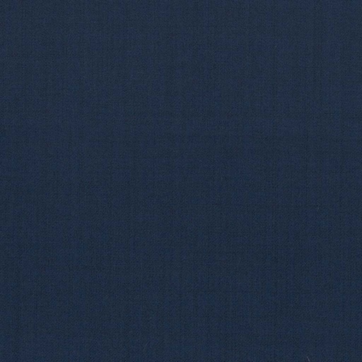 [317647] BLUE, PLAIN (DR# 12547)