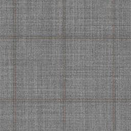 [317705] GREY, CHECKS (DR# 19005)