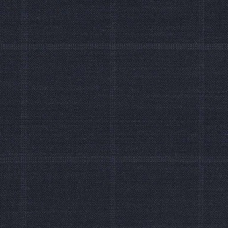 [317707] BLUE, BLUE CHECKS (DR# 19007)