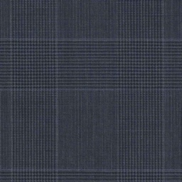 [317713] BLUE, BLUE CHECKS (DR# 19013)
