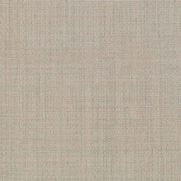 [317730] TAN, PLAIN (DR# 19031)