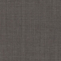 [317739] GREY, PLAIN (DR# 19040)