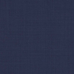 [317749] BLUE, PLAIN (DR# 19050)