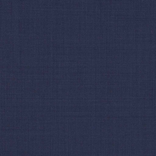 [317749] BLUE, PLAIN (DR# 19050)