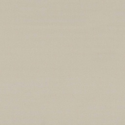 [317802] BEIGE, PLAIN (DR# 25402)