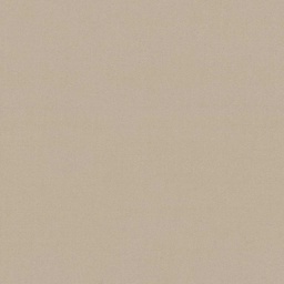 [317803] TAN, PLAIN (DR# 25403)