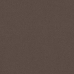 [317804] BROWN, PLAIN (DR# 25404)